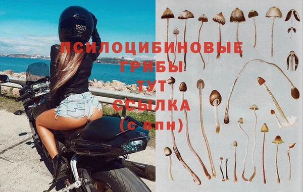 метадон Алзамай