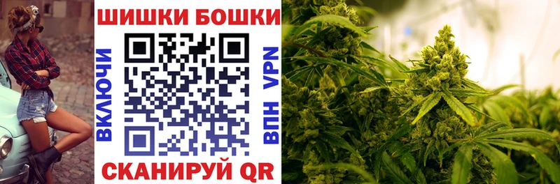 Канабис сатива  Салехард 